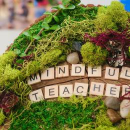 moss covered rock with words "mindful teacher" on it